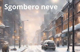 ORDINANZA SGOMBERO NEVE